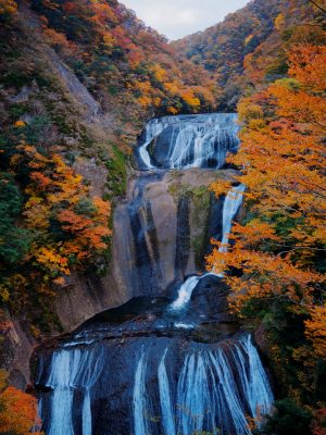 袋田の滝 （图出：corain君）